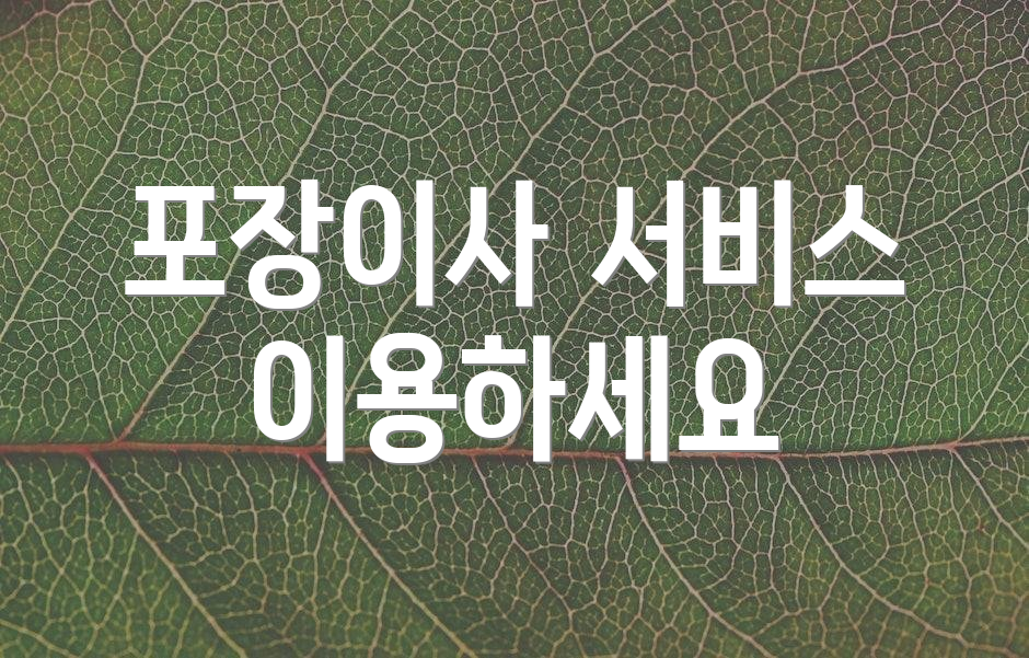 포장이사 서비스 이용하세요