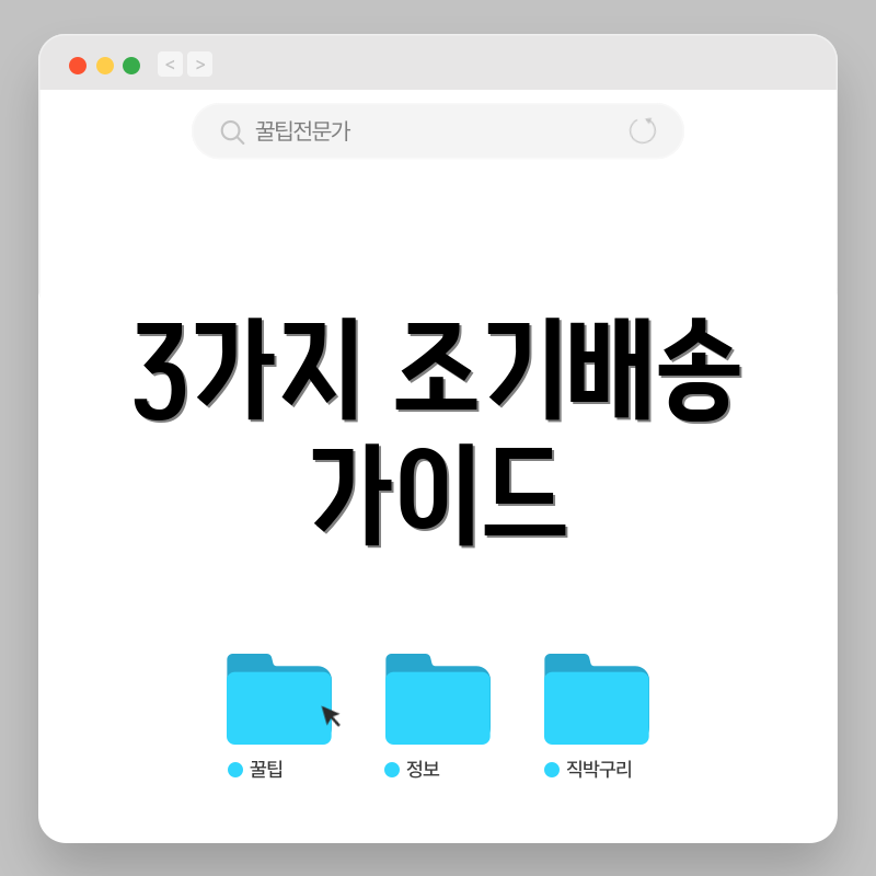 3가지 조기배송 가이드