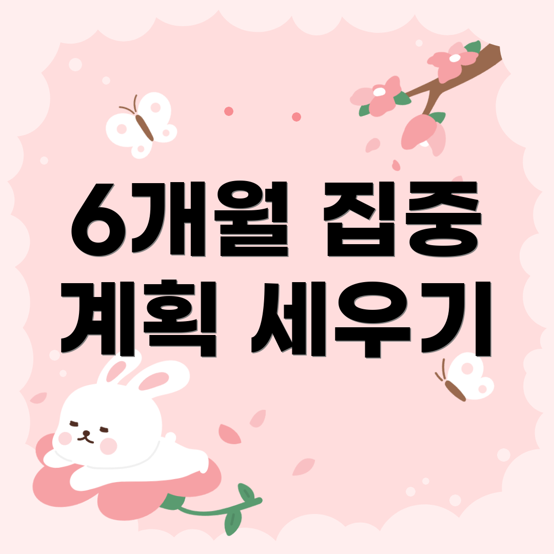 6개월 집중 계획 세우기