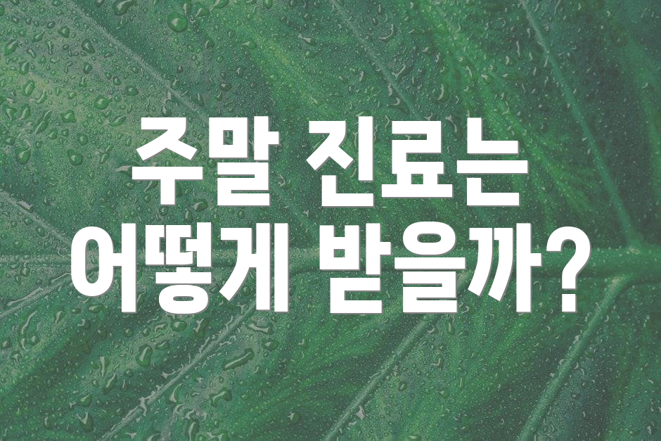 주말 진료는 어떻게 받을까?