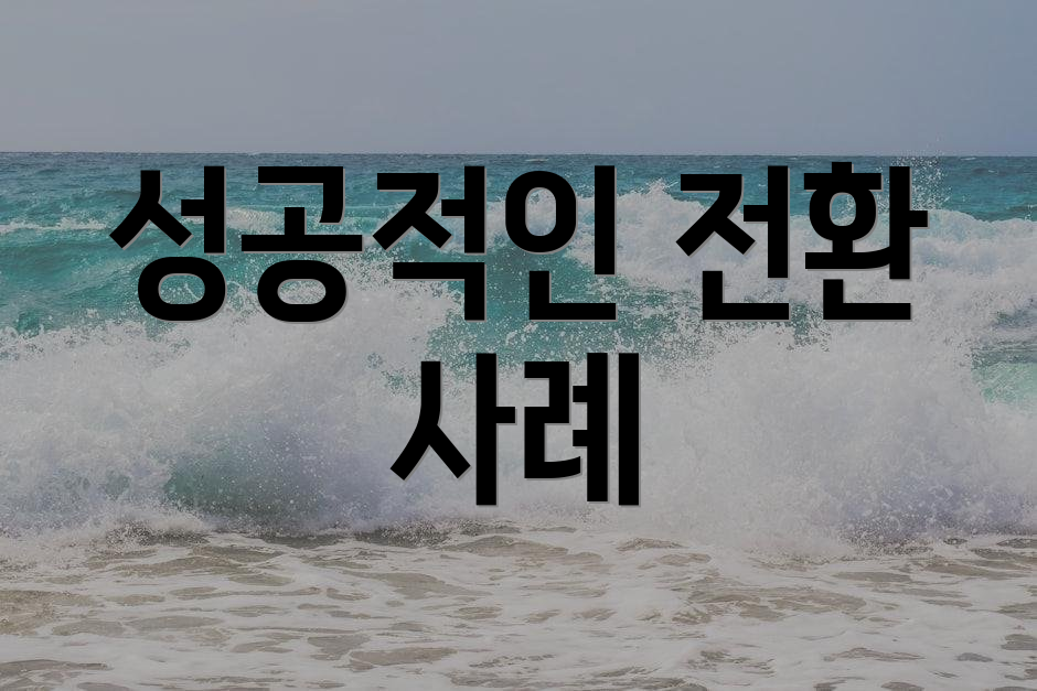 성공적인 전환 사례