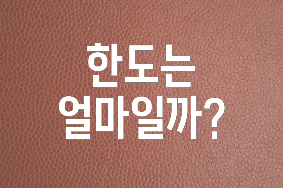 한도는 얼마일까?