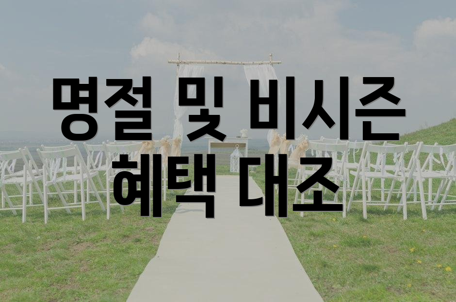 명절 및 비시즌 혜택 대조