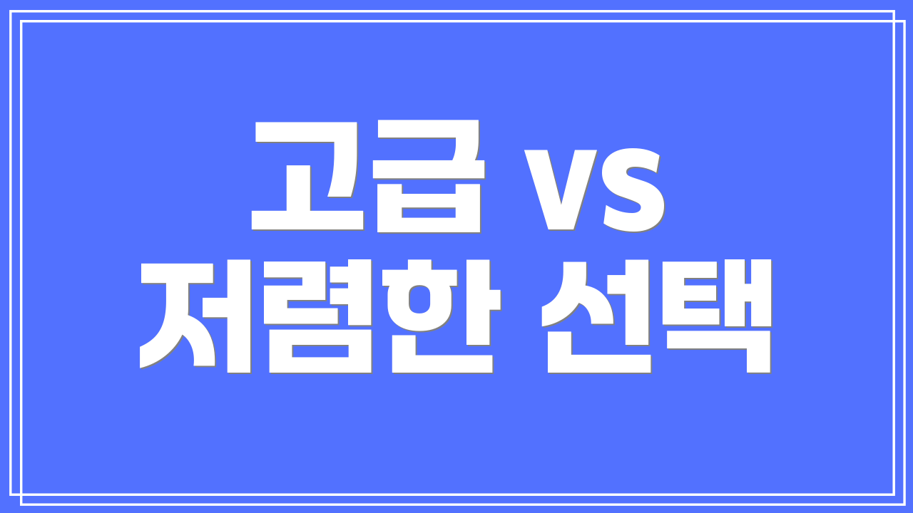 고급 vs 저렴한 선택
