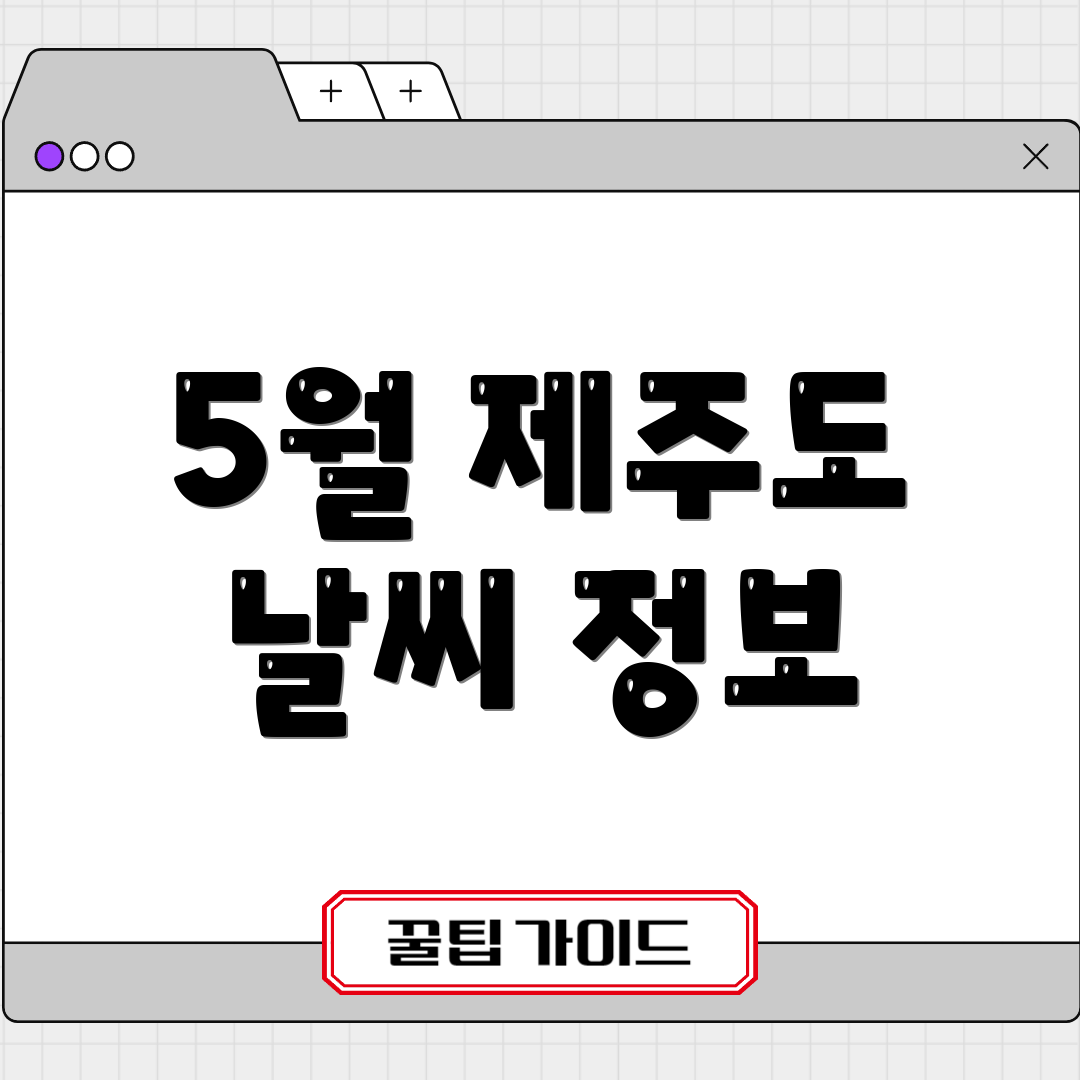 5월 제주도 날씨 정보