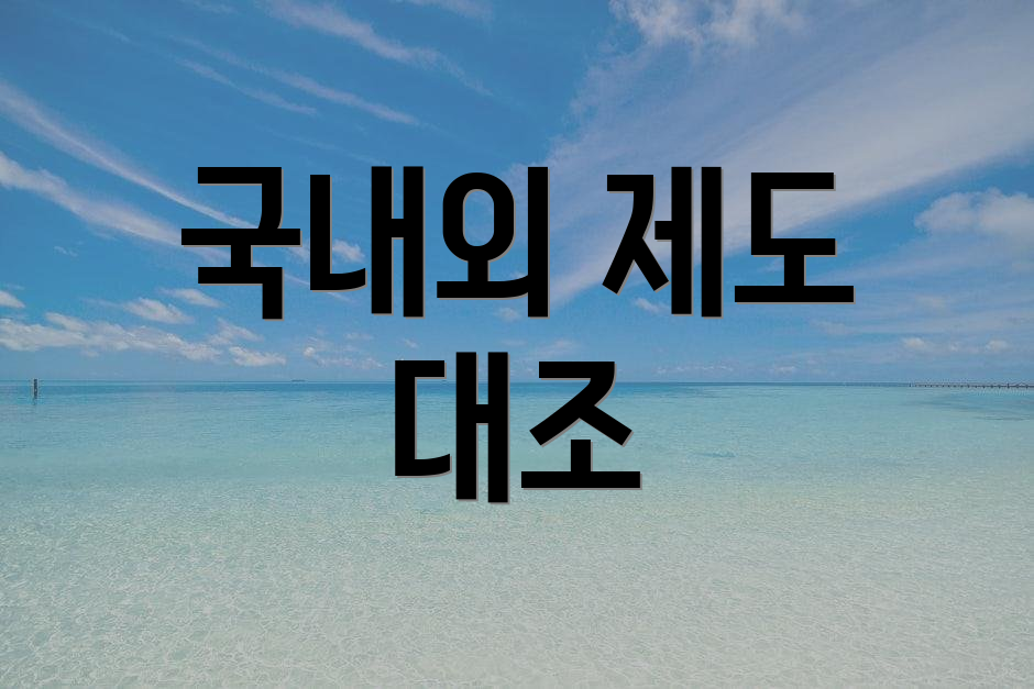 국내외 제도 대조