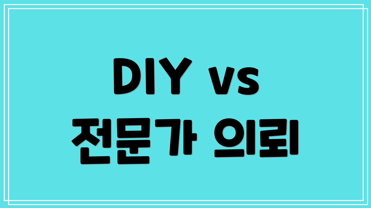 DIY vs 전문가 의뢰