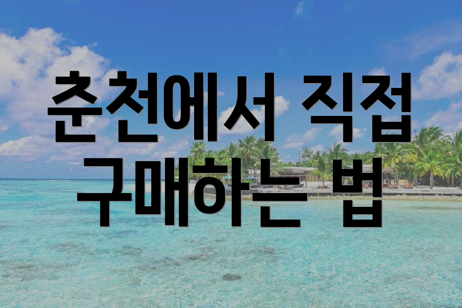 춘천에서 직접 구매하는 법