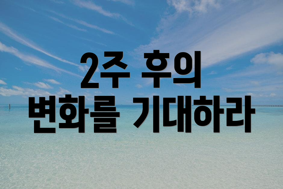 2주 후의 변화를 기대하라