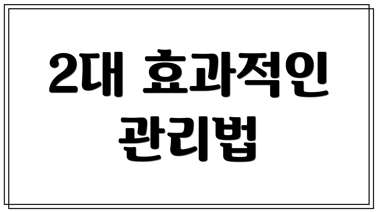 2대 효과적인 관리법