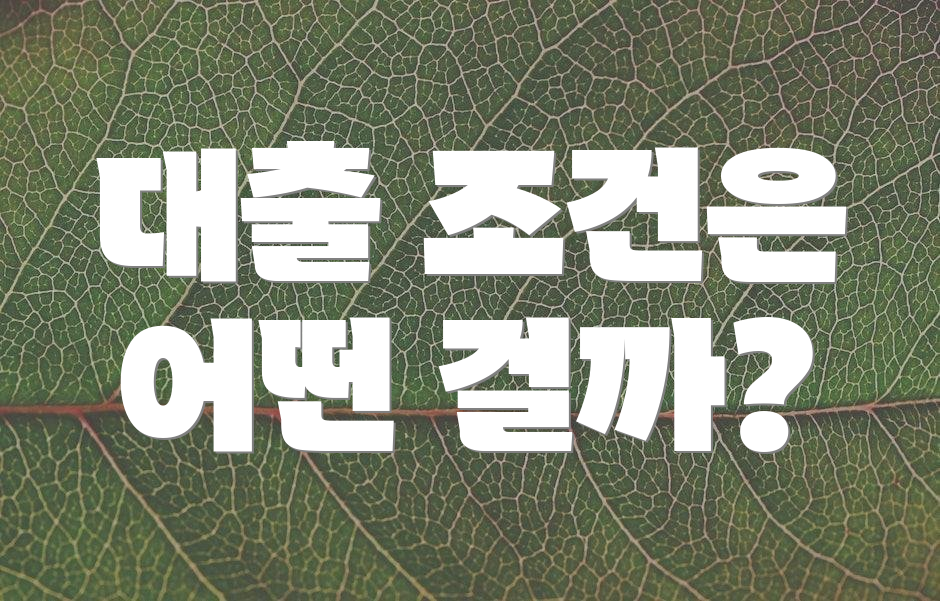 대출 조건은 어떤 걸까?