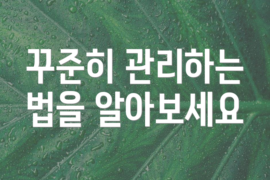 꾸준히 관리하는 법을 알아보세요