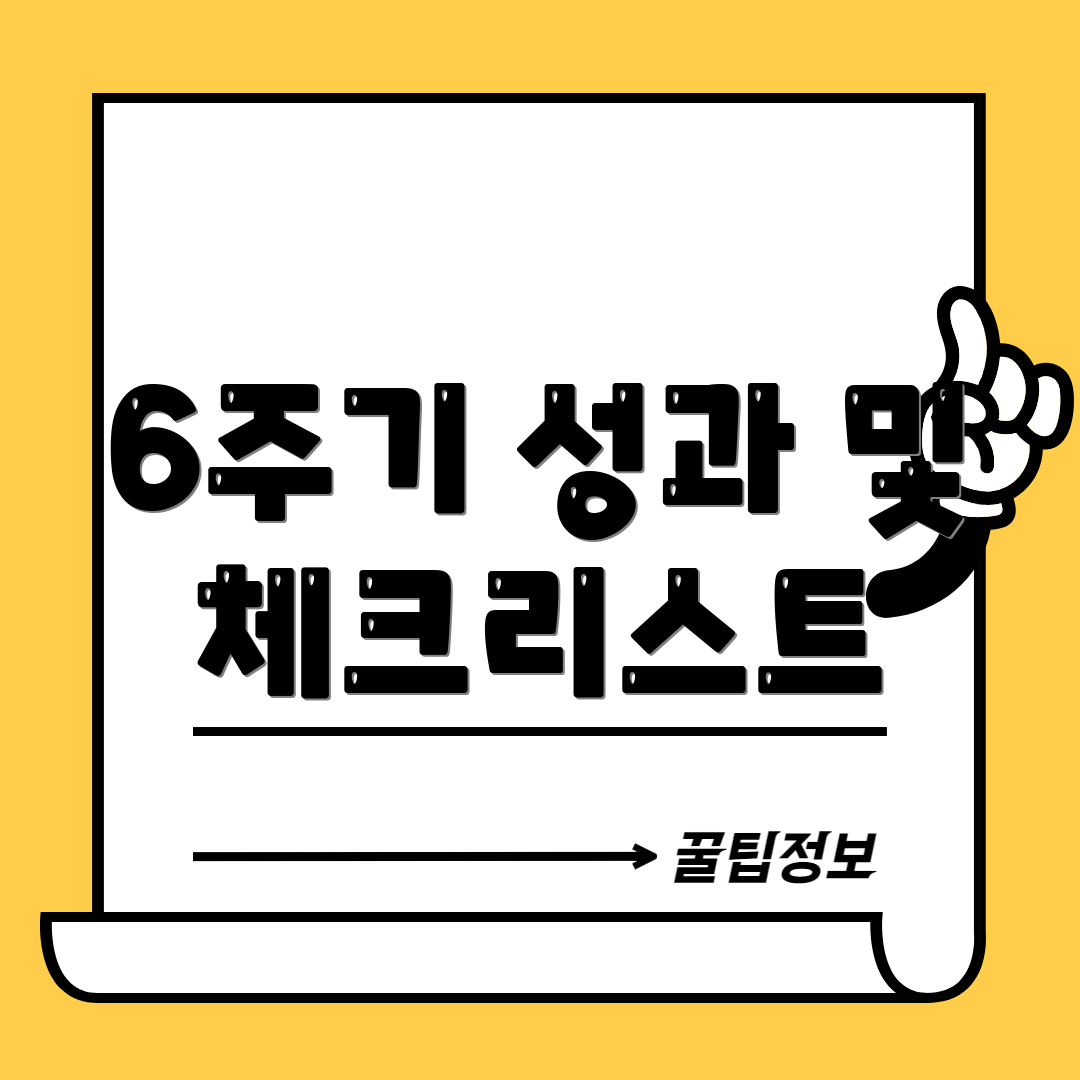 6주기 성과 및 체크리스트