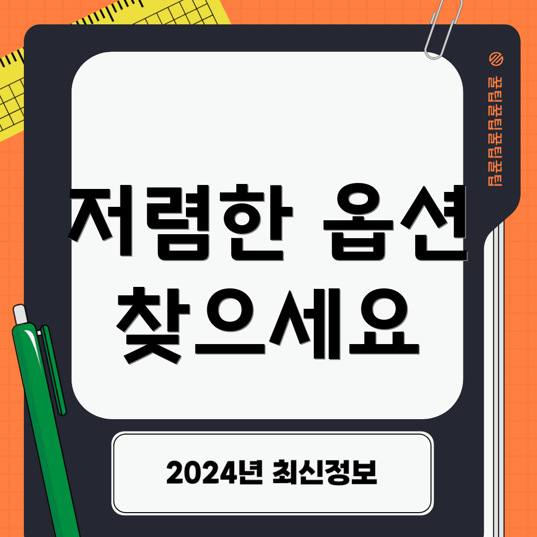 저렴한 옵션 찾으세요