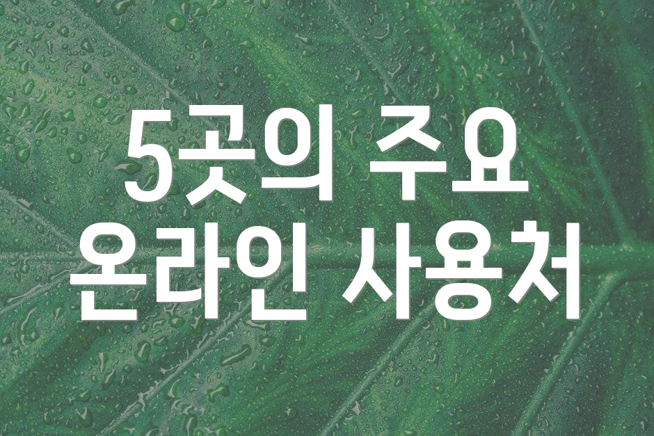 5곳의 주요 온라인 사용처