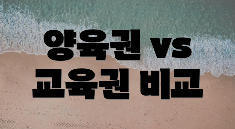 양육권 vs 교육권 비교