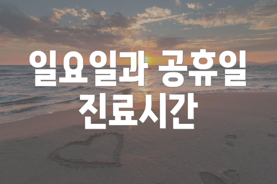 일요일과 공휴일 진료시간
