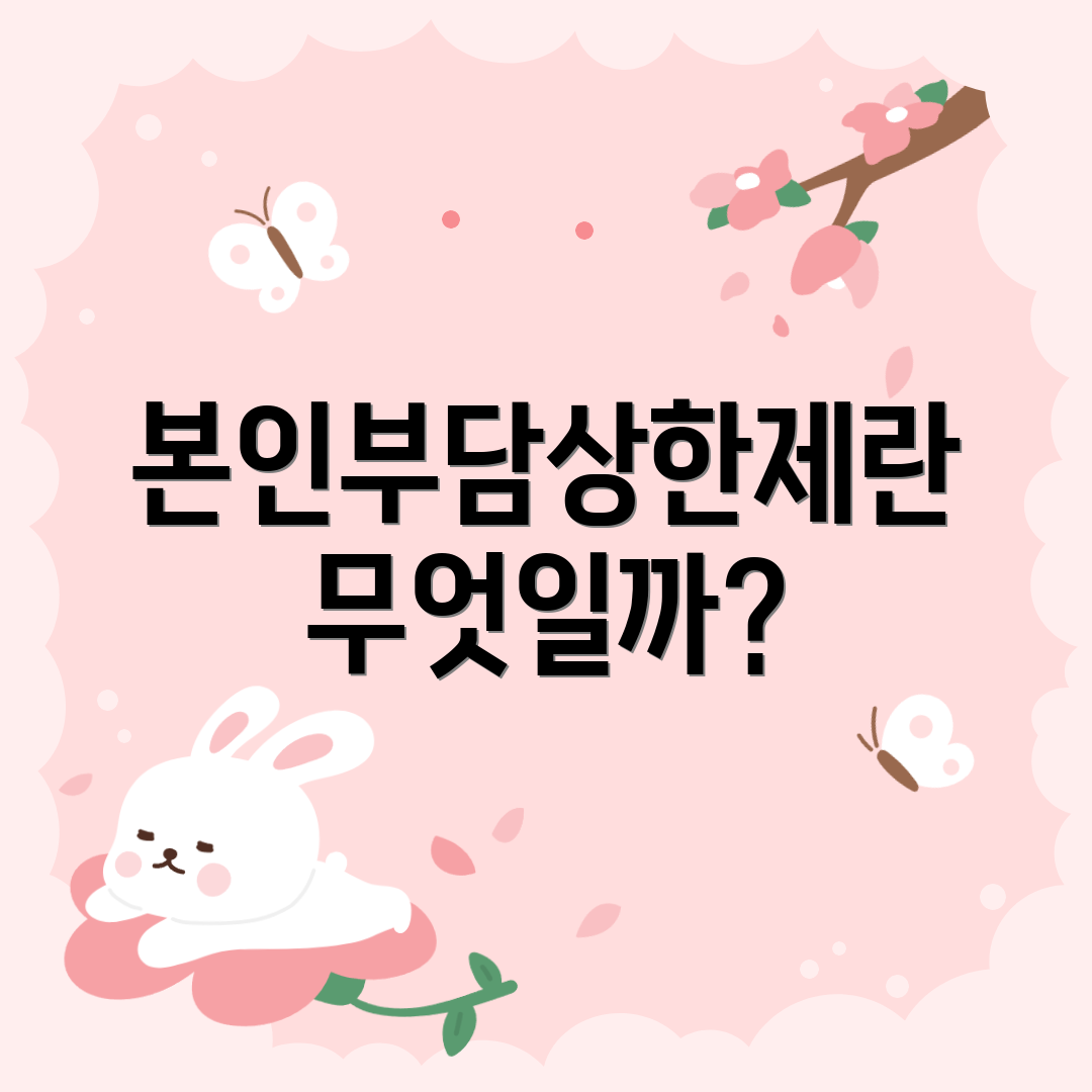 본인부담상한제란 무엇일까?
