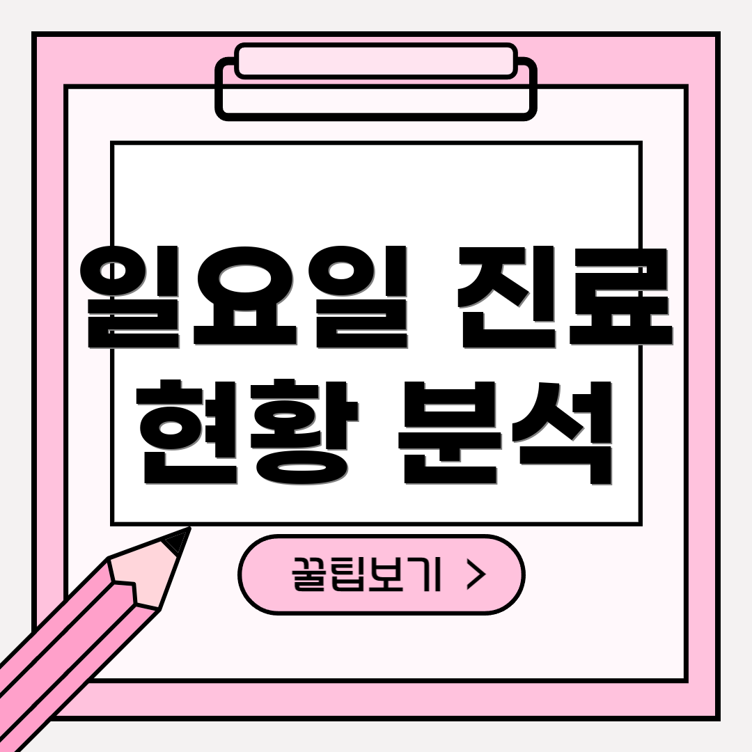 일요일 진료 현황 분석