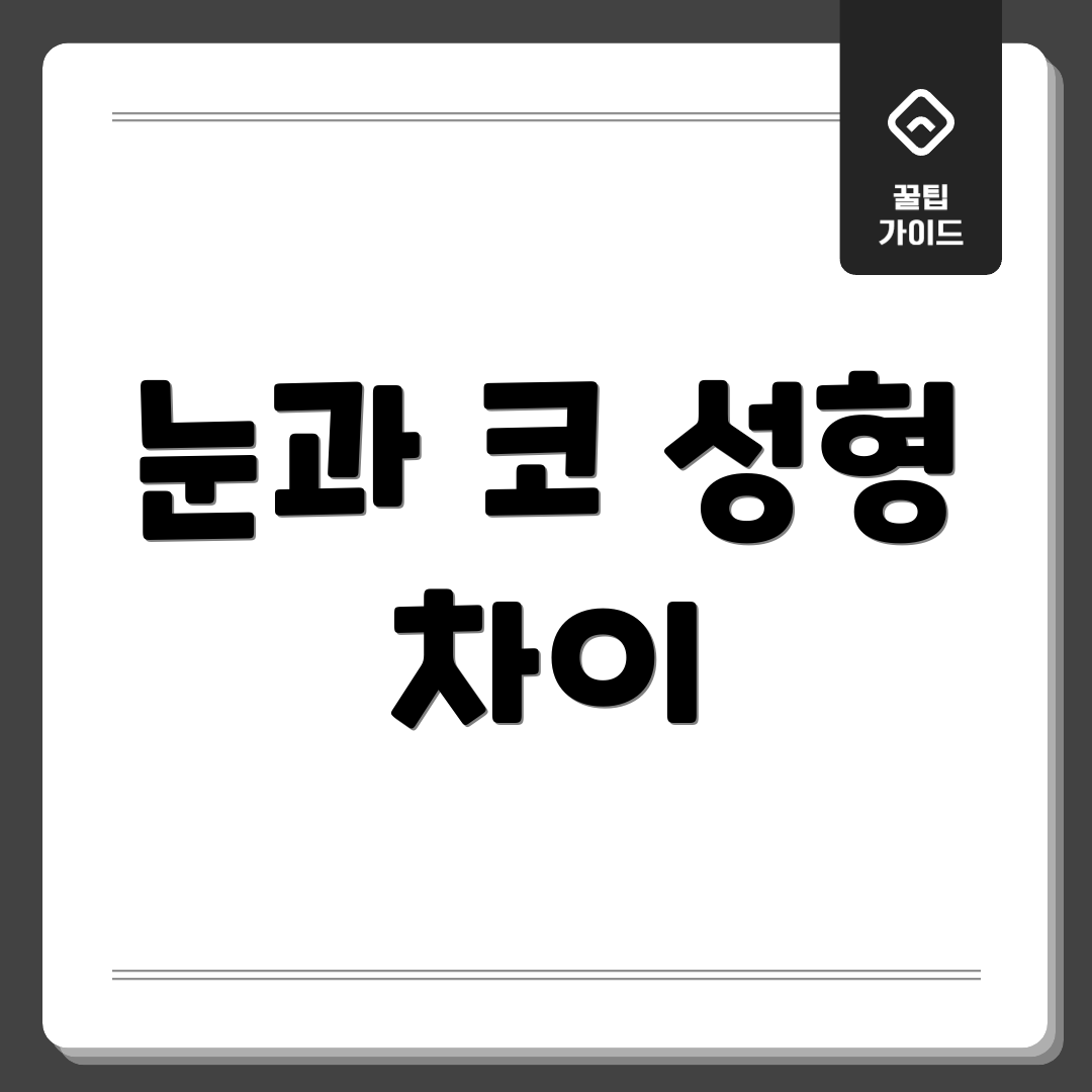 눈과 코 성형 차이