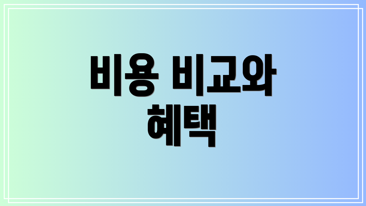 비용 비교와 혜택