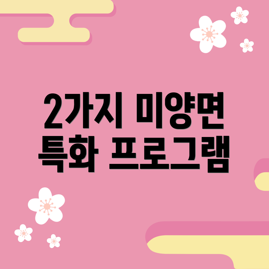 2가지 미양면 특화 프로그램