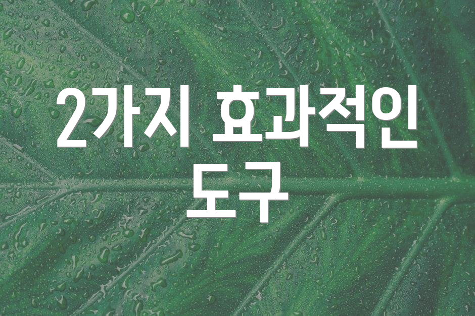 2가지 효과적인 도구