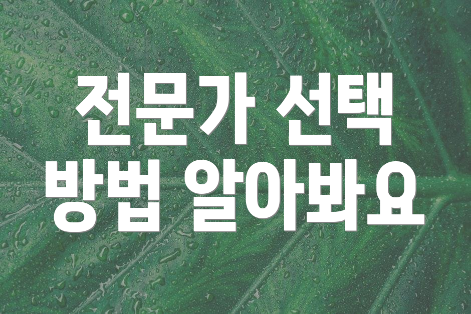 전문가 선택 방법 알아봐요