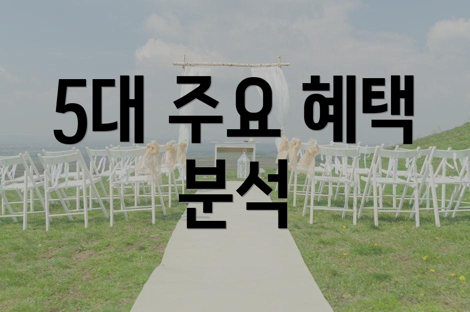 5대 주요 혜택 분석