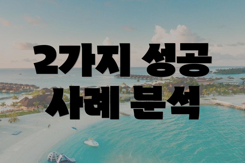 2가지 성공 사례 분석