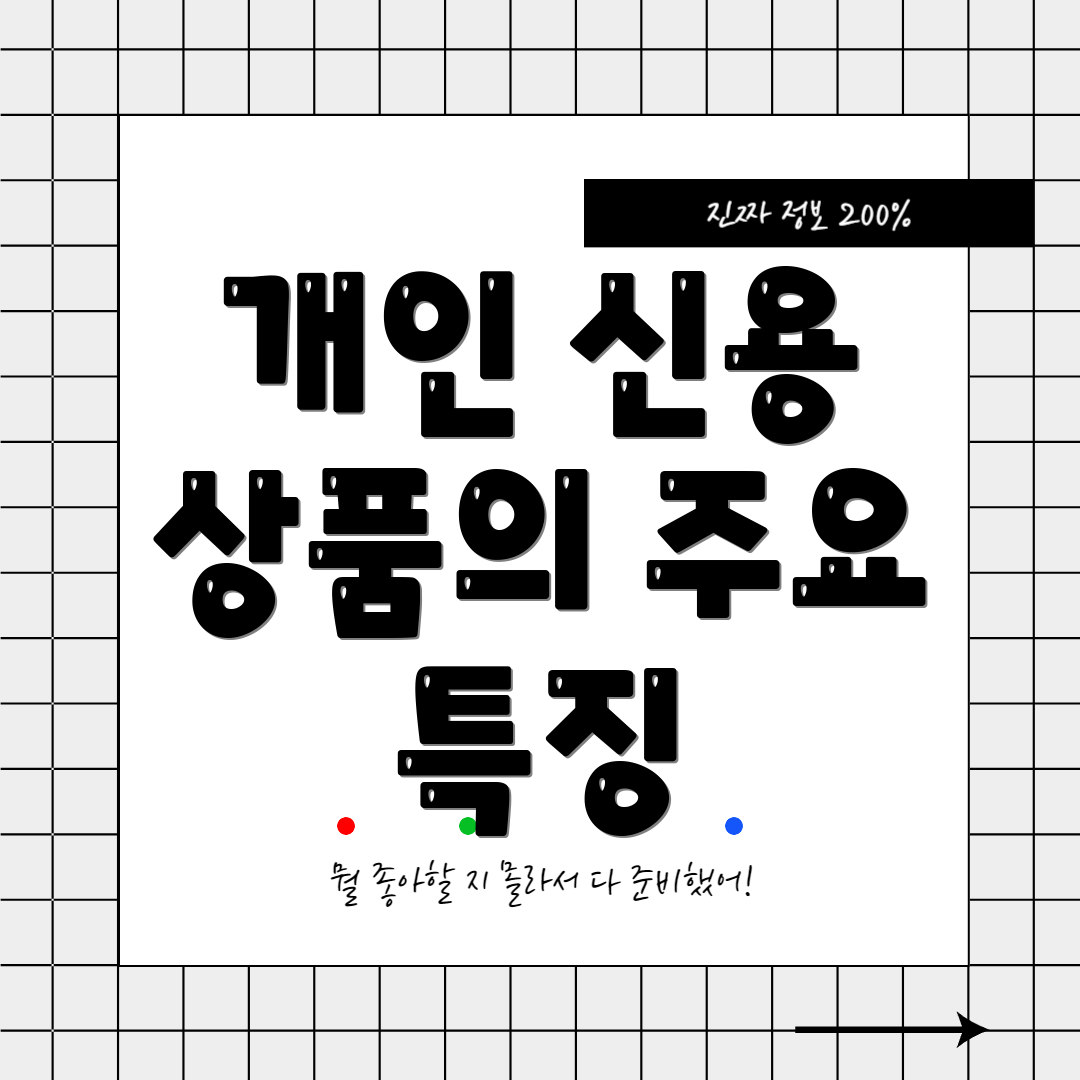 개인 신용 상품의 주요 특징