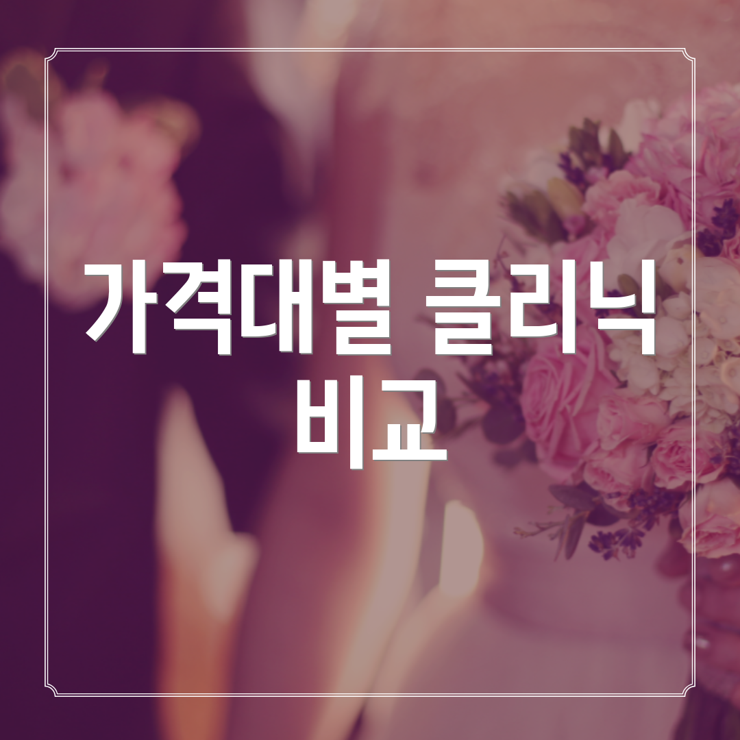 가격대별 클리닉 비교