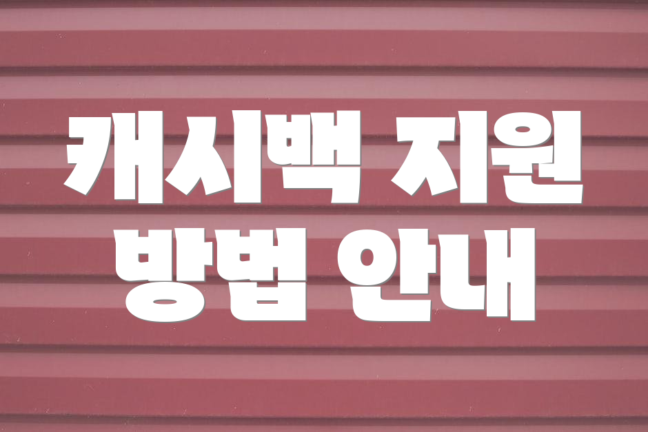 캐시백 지원 방법 안내