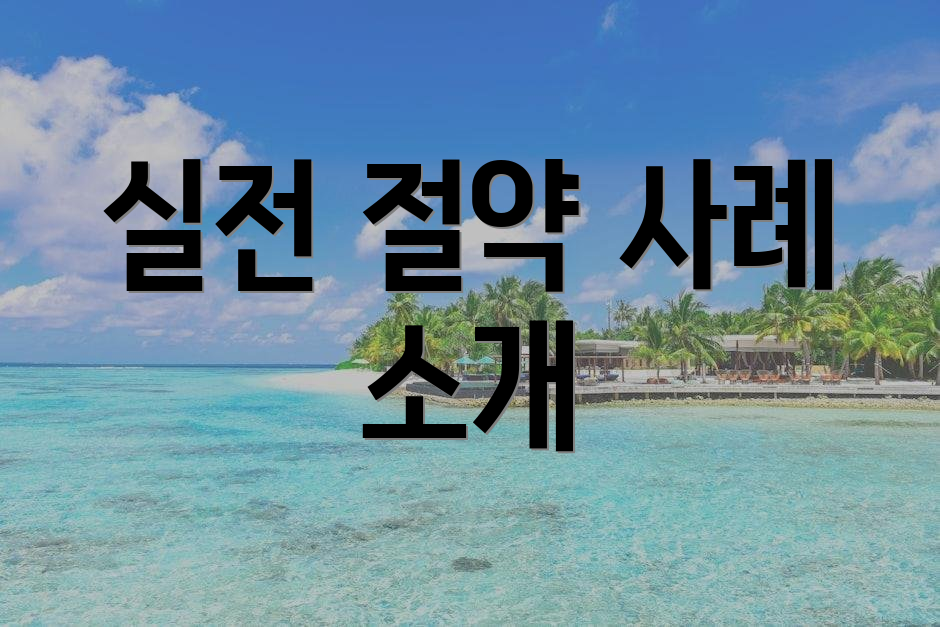 실전 절약 사례 소개