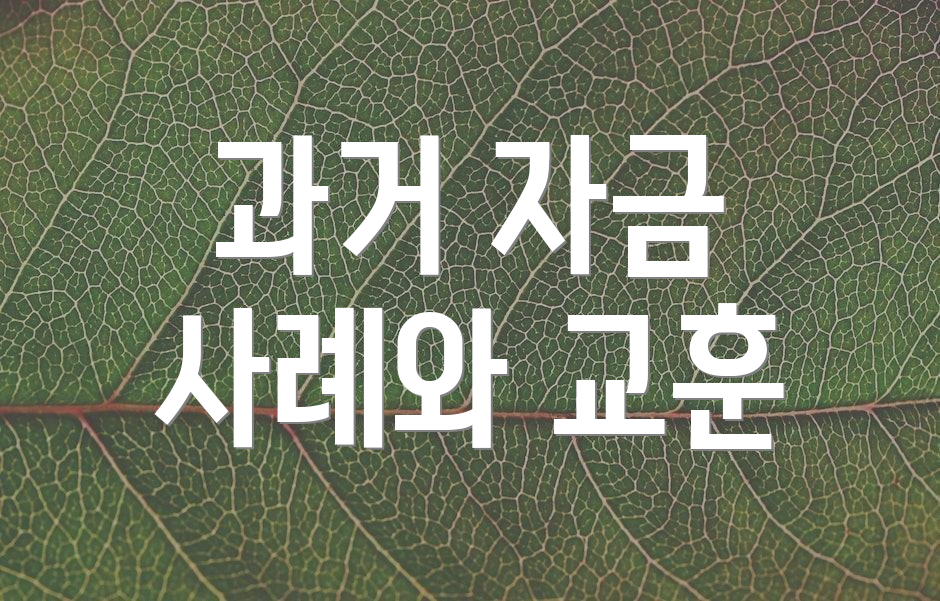 과거 자금 사례와 교훈