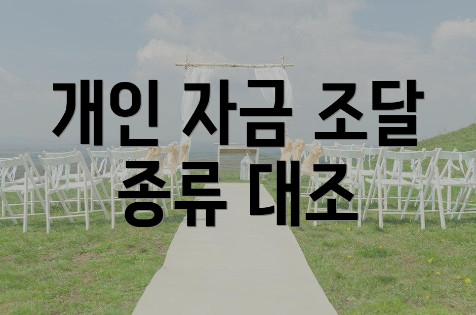 개인 자금 조달 종류 대조