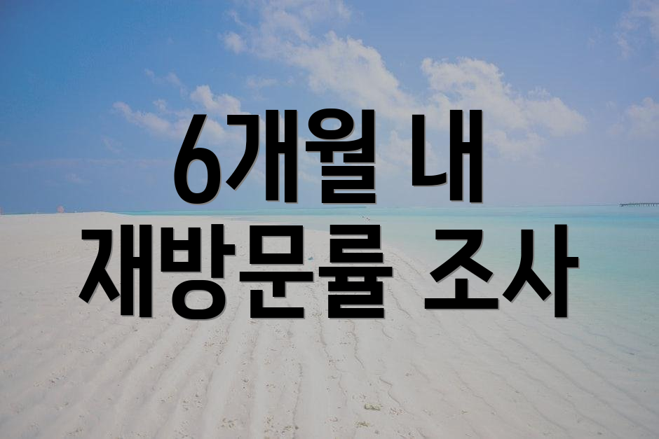 6개월 내 재방문률 조사