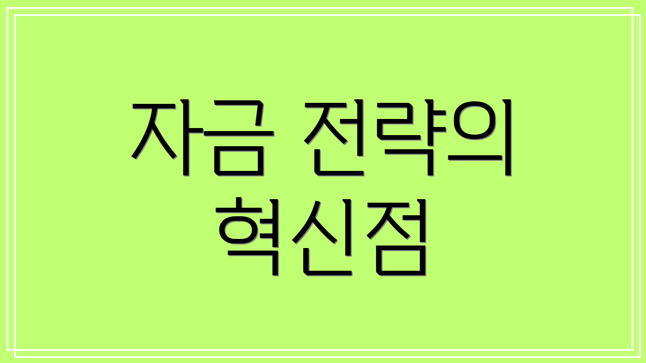자금 전략의 혁신점