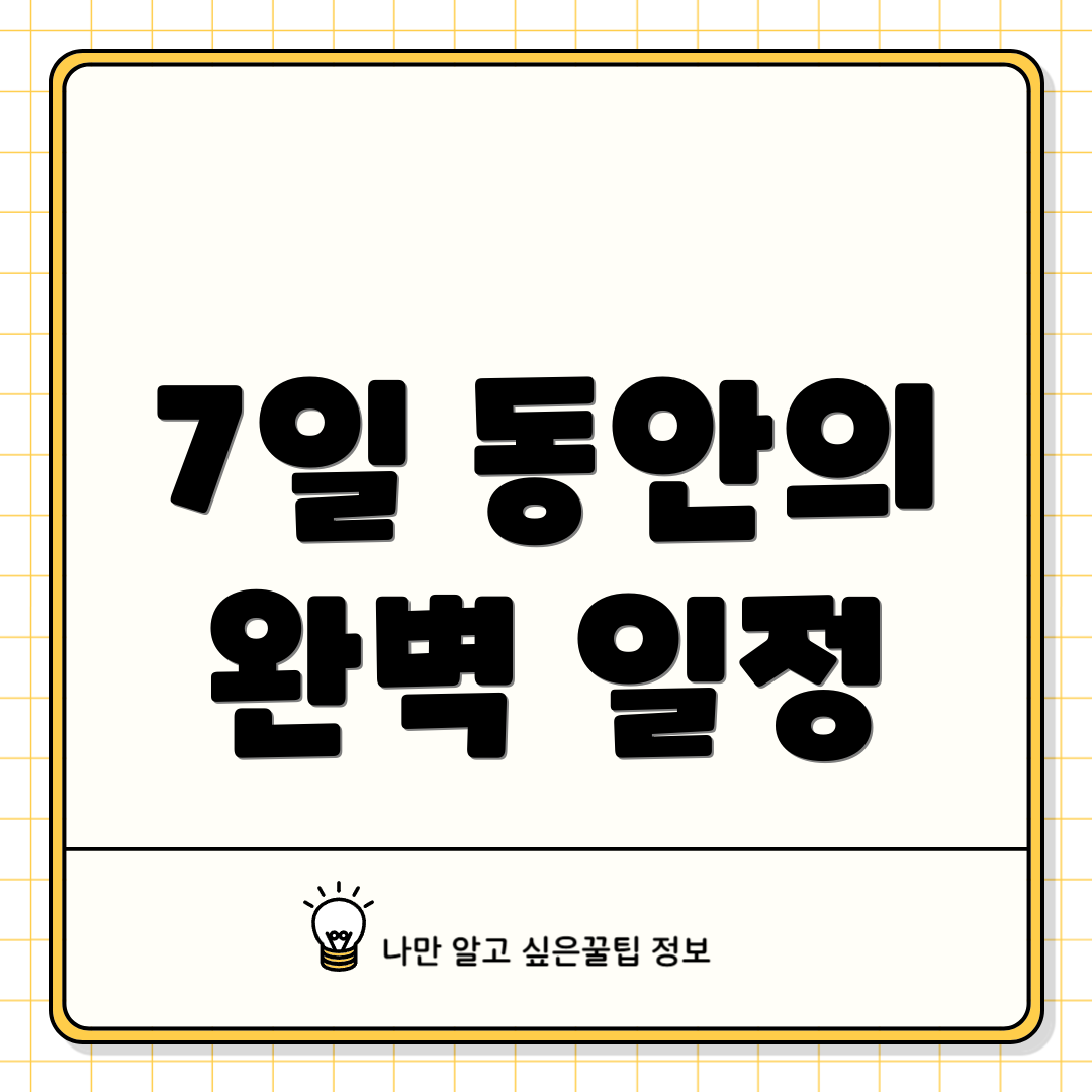 7일 동안의 완벽 일정