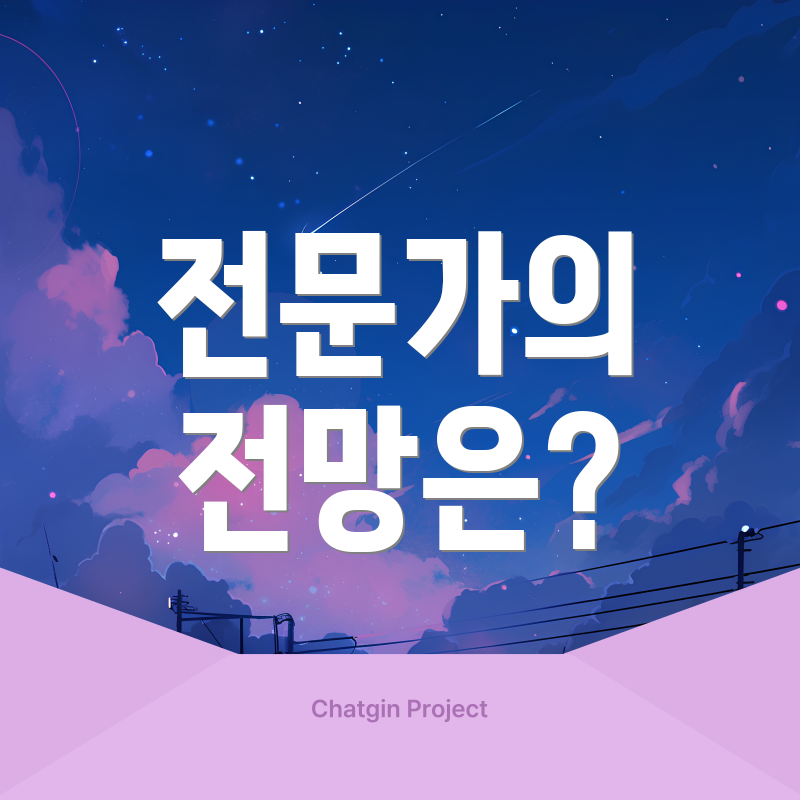 전문가의 전망은?