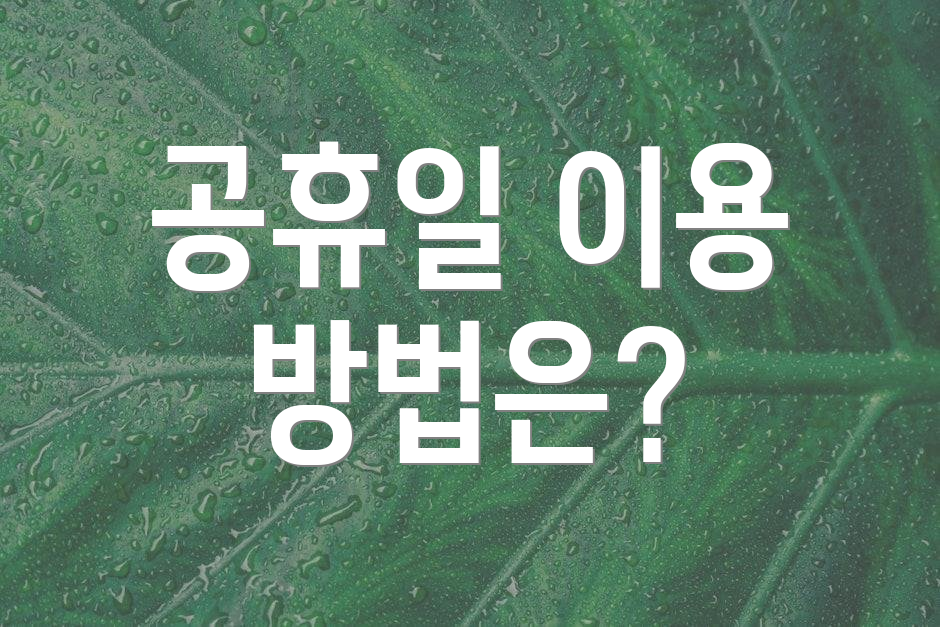 공휴일 이용 방법은?