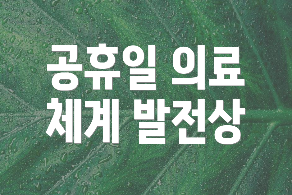공휴일 의료 체계 발전상