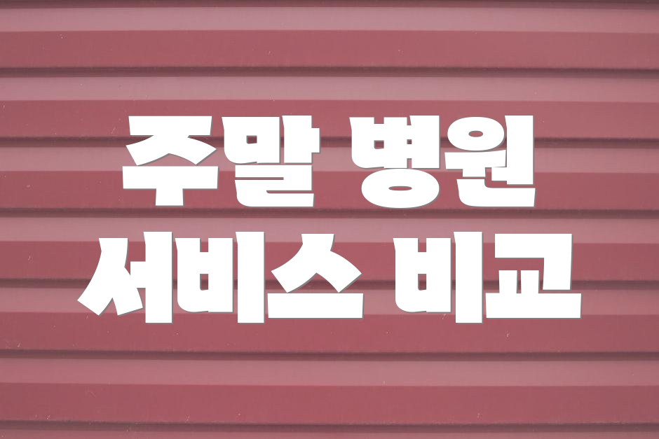 주말 병원 서비스 비교
