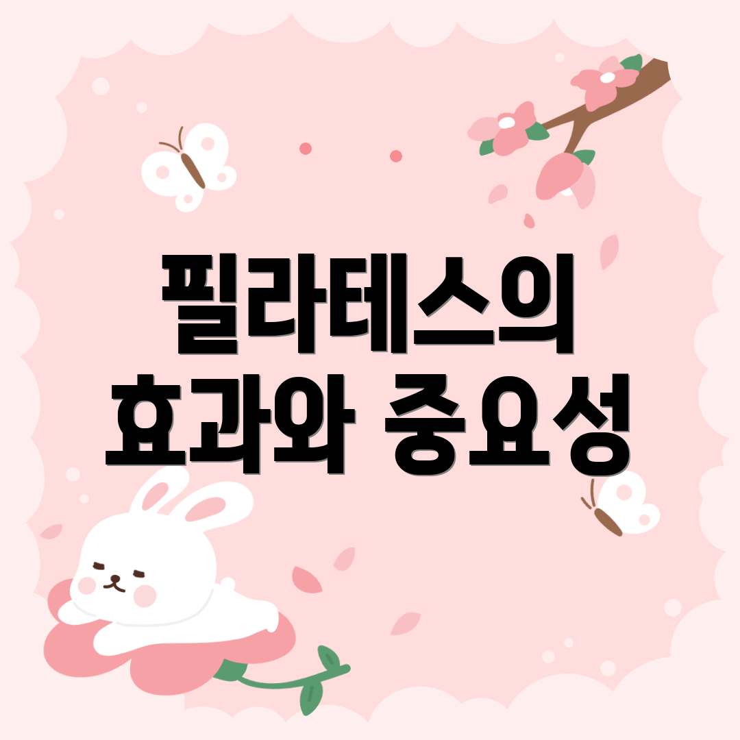 필라테스의 효과와 중요성