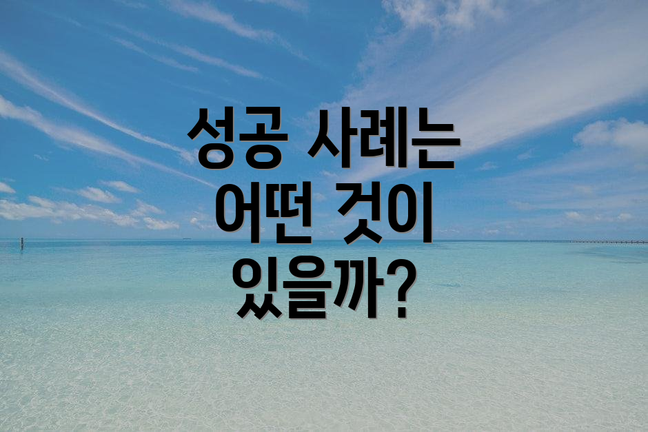 성공 사례는 어떤 것이 있을까?