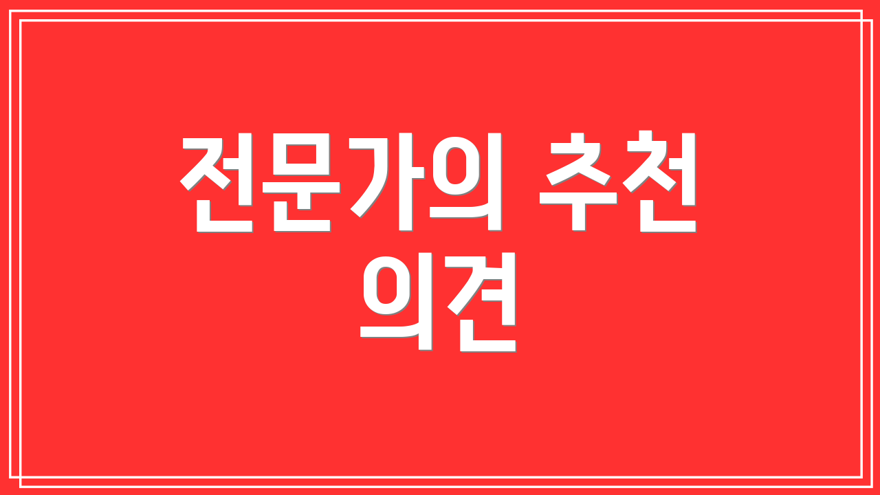전문가의 추천 의견