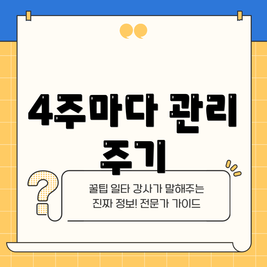 4주마다 관리 주기