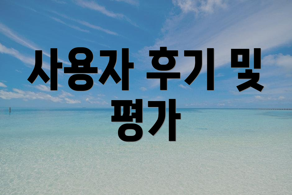 사용자 후기 및 평가