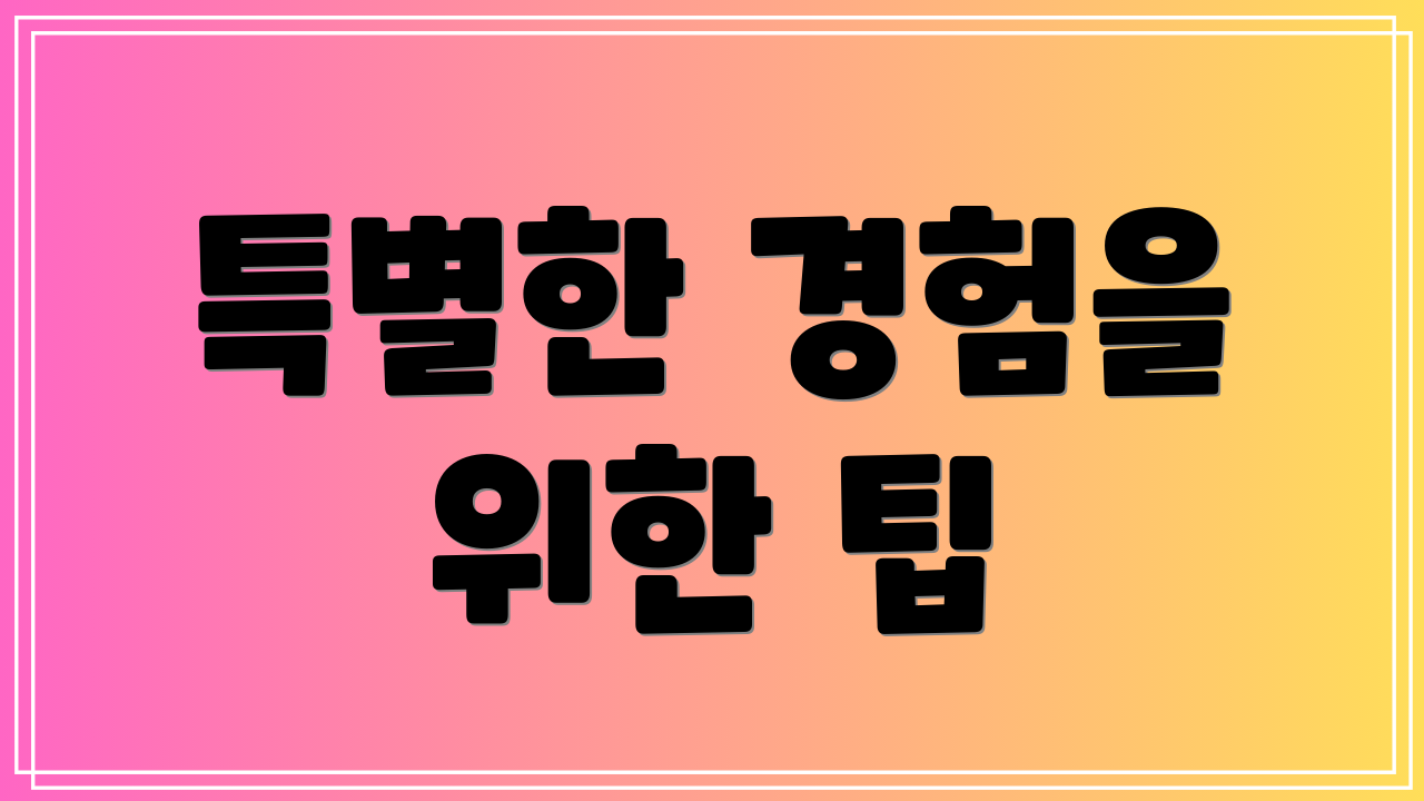 특별한 경험을 위한 팁