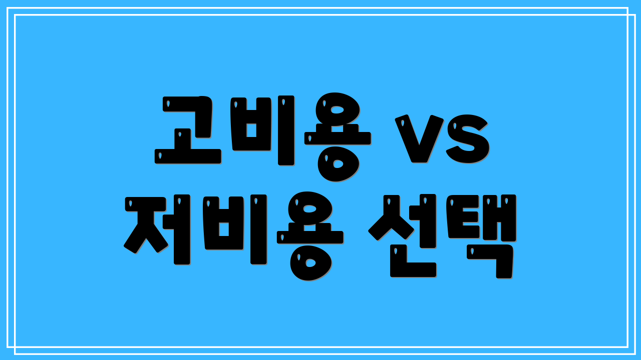 고비용 vs 저비용 선택